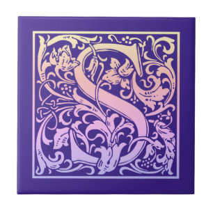 Buchstabe S Farbiger Vintager erster Buchstabe Gra Fliese