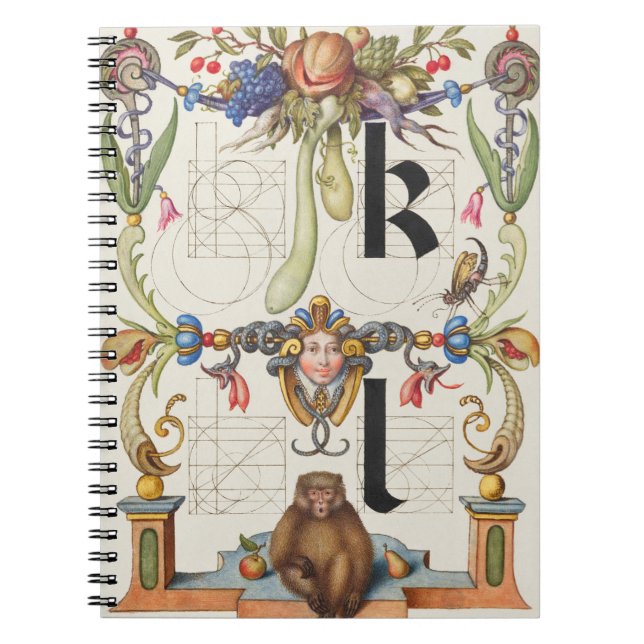 Buchstaben k und l von Mira Calligraphiae Monument Notizblock (Vorderseite)