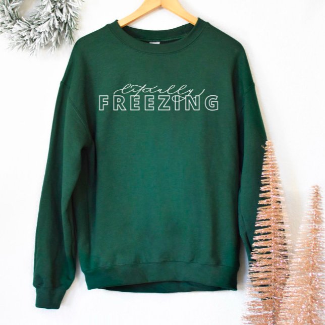 Buchstäblich Freezing Funny Winter Sweatshirt (Von Creator hochgeladen)