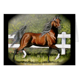 Bucht-arabischer Pferdebetrieb