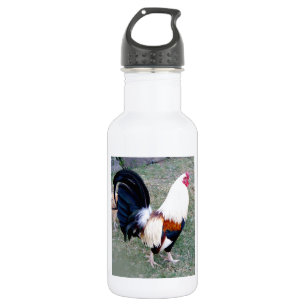 Bucht-Hahn Hawaiis Hanauma Trinkflasche