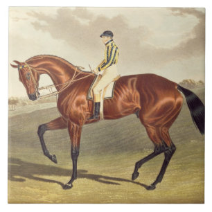 Bucht Middleton, Sieger des Derbys im Jahre 1836, Fliese