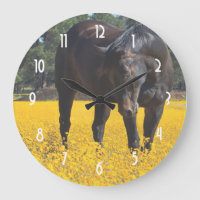 Bucht Pferd in einem Feld gelber Blumen