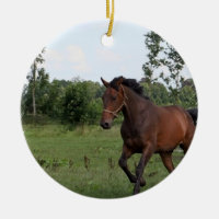 Bucht-Pferdeentwurfs-Verzierung