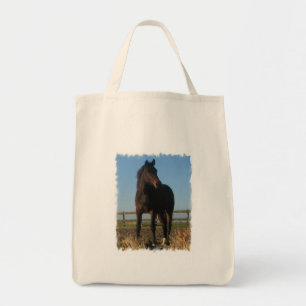 Bucht-Pferdelebensmittelgeschäft-Taschen-Tasche Tragetasche