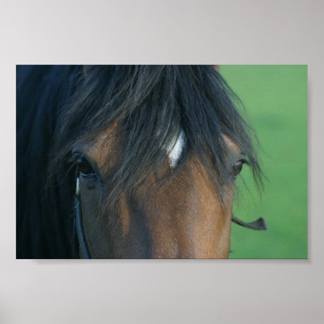 Bucht schließen poster (Vorne)