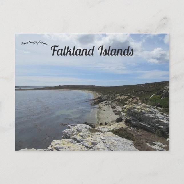 Bucht von den Ordinance Point Falkland Islands Postkarte (Vorderseite)
