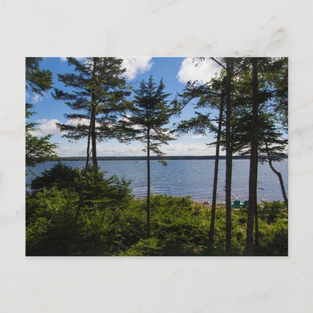 Bucht von Gouldsboro, Maine im Sommer Postkarte (Vorderseite)