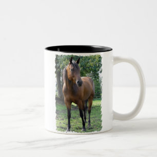 Buchtthoroughbred-Pferdekaffee-Tasse Zweifarbige Tasse