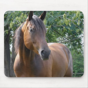 Buchtthoroughbred-Pferdemausunterlage Mousepad