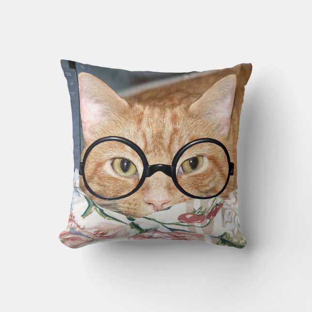 Buchwurmtabby Kissen (Vorderseite)