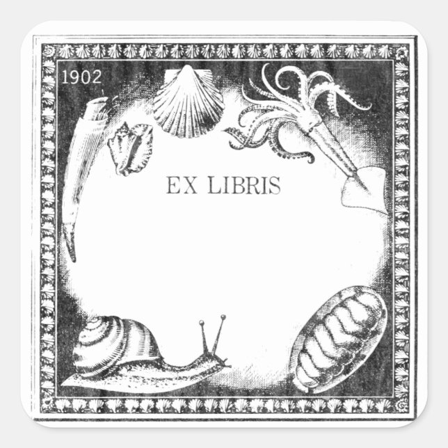 Buchzeichen-Aufkleber für Meereskreaturen Quadratischer Aufkleber (Vorderseite)