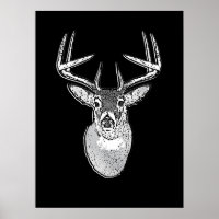 Buck auf Schwarz-weißen Schwanz Deer