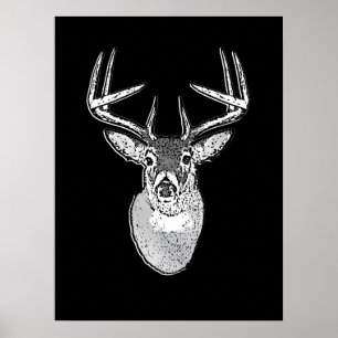 Buck auf Schwarz-weißen Schwanz Deer Poster