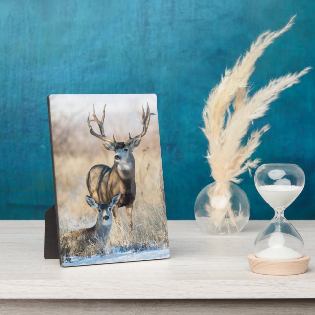 Buck Couple | Mule Deer Fotoplatte (Seite)