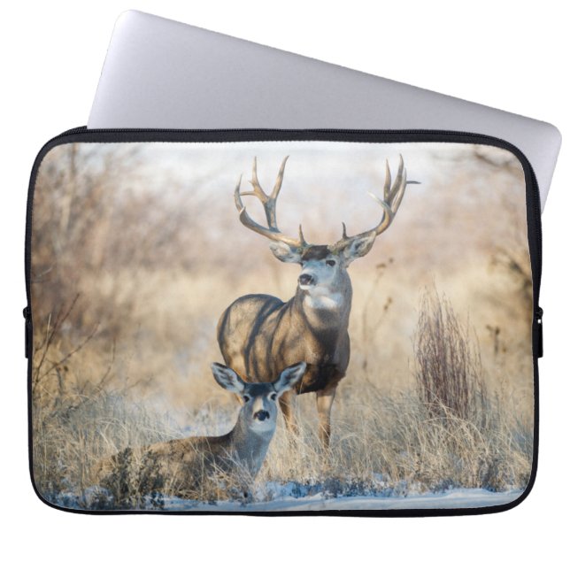 Buck Couple | Mule Deer Laptopschutzhülle (Vorderseite)