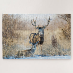 Buck Couple   Mule Deer Puzzle