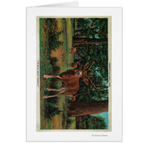 Buck Deer im Yosemite-Nationalpark