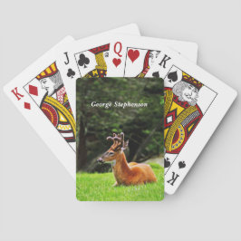 Buck Deer in bewaldeter Weide Persönlich gestalten Spielkarten