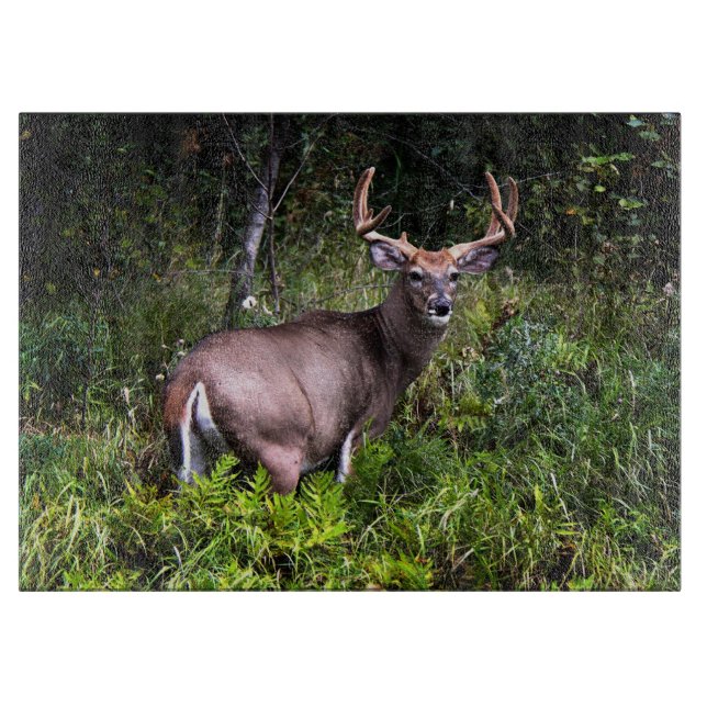Buck Deer Large Cutting Board Schneidebrett (Vorderseite)