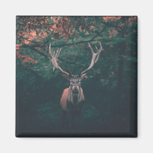 Buck Deer Wild Animal Magnet