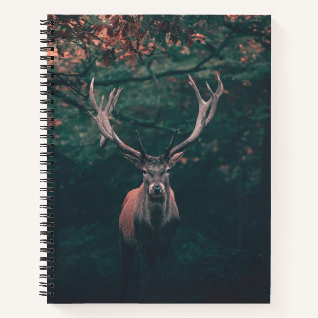 Buck Deer Wild Animal Notizbuch (Vorderseite)