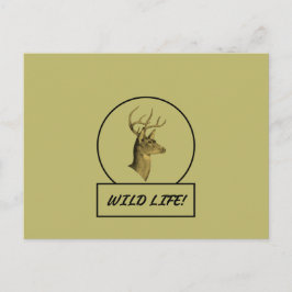 Buck Head Dark Khaki Postcard Postkarte