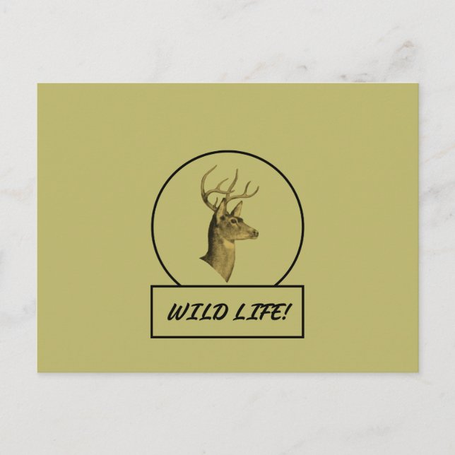 Buck Head Dark Khaki Postcard Postkarte (Vorderseite)
