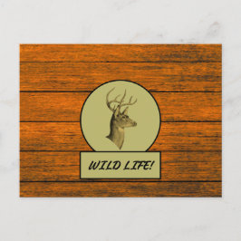 Buck Head Wood Grain Postcard Postkarte