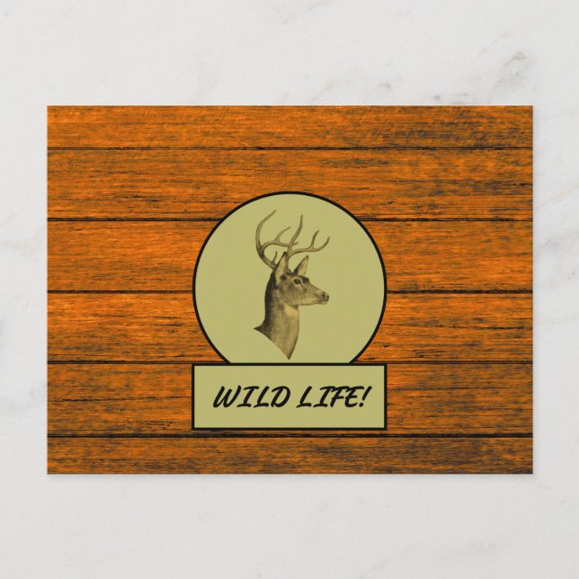 Buck Head Wood Grain Postcard Postkarte (Vorderseite)