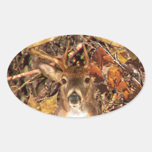 Buck in Camo White Tail Deer Ovaler Aufkleber