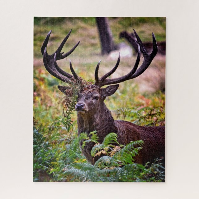 Buck in Richmond Park - 16x20 - 520 Stück Puzzle (Vertikal)