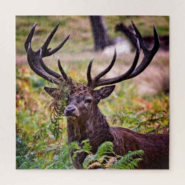 Buck in Richmond Park - 20x20 - 676 Stück Puzzle (Vertikal)