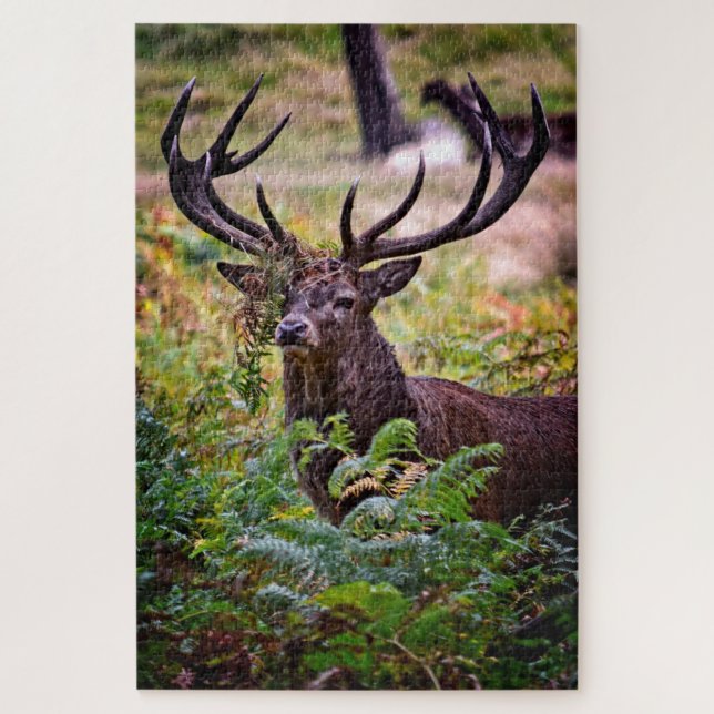 Buck in Richmond Park - 20x30 - 1014 Stück Puzzle (Vertikal)