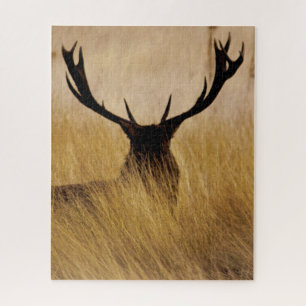 Buck in the Brush - 16x20 - 520 Stück Puzzle