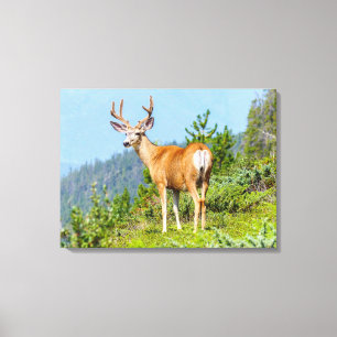 Buck Leinwanddruck