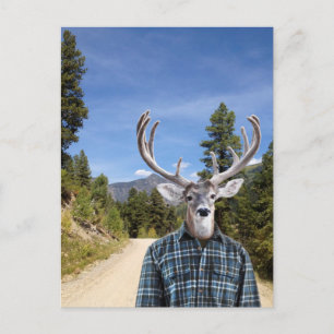 Buck mit Antlers Tragen von blauem Kariertem Shirt Postkarte