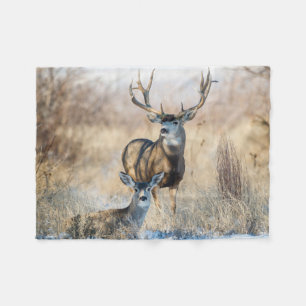 Buck Paar Maultierhirsch Fleecedecke