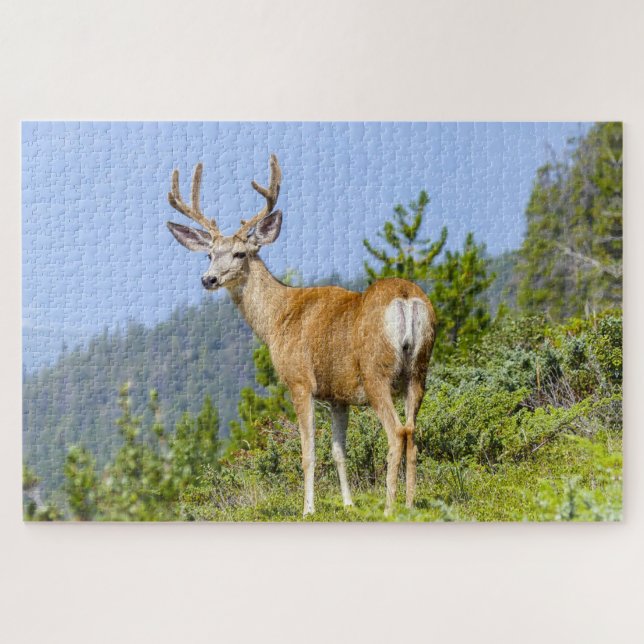 Buck Puzzle (Horizontal)