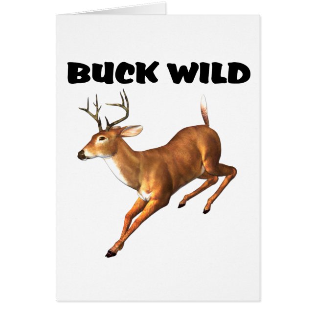 Buck Wild (Vorne)