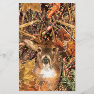 Buckel in Camouflage Weißer Schwanz Hirsch