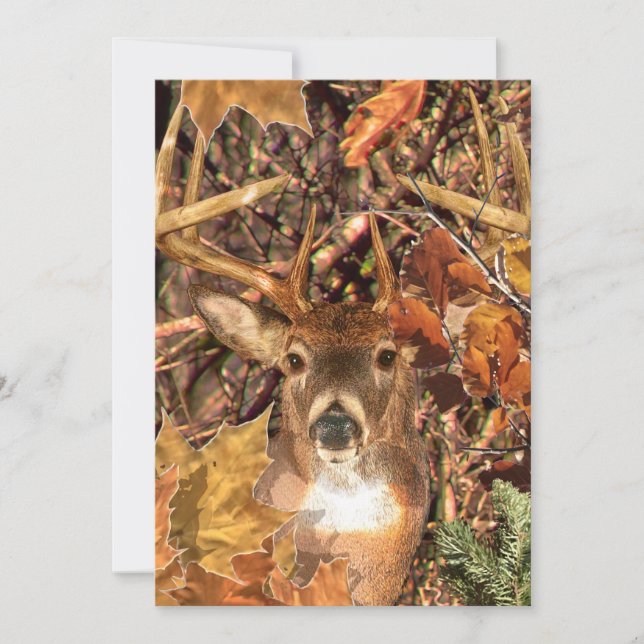 Buckel in Camouflage Weißer Schwanz Hirsch (Vorderseite)