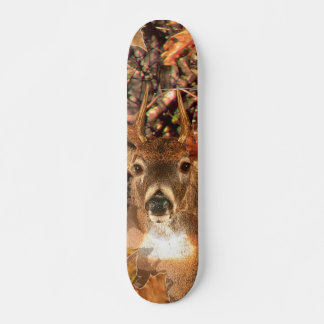 Buckel in Herbst Camouflage Weißer Schwanz Hirsch Skateboard