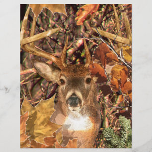 Buckel in Jäger Camouflage Weißer Schwanz Hirsch