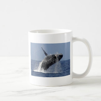 Buckel-Wal Coofee Tasse
