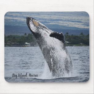 Buckel-Wal-Durchbrechen Mousepad