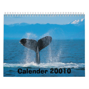 Buckel-Wal, Kalender 20010