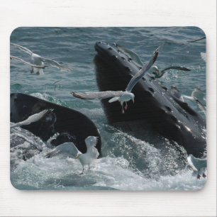 Buckel-Wal-Mausunterlage Mousepad