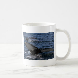 Buckel-Wal-Paare Tasse