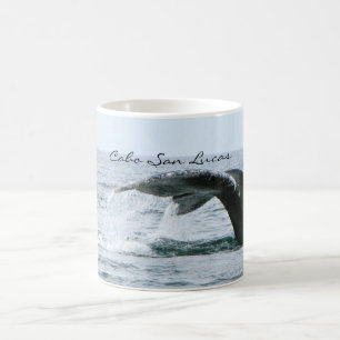 Buckel-Wal-Schwanz, Cabo San Lucas Kaffeetasse